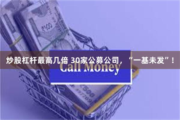 炒股杠杆最高几倍 30家公募公司,“一基未发”!