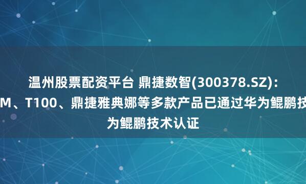 温州股票配资平台 鼎捷数智(300378.SZ)：鼎捷PLM、T100、鼎捷雅典娜等多款产品已通过华为鲲鹏技术认证