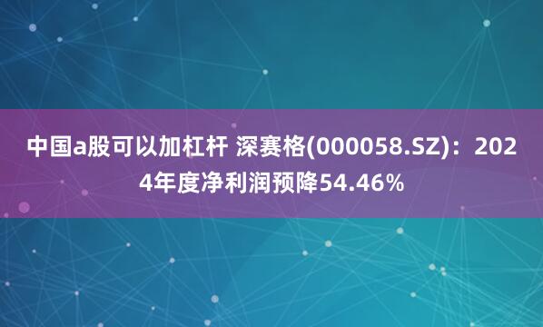 中国a股可以加杠杆 深赛格(000058.SZ)：2024年度净利润预降54.46%