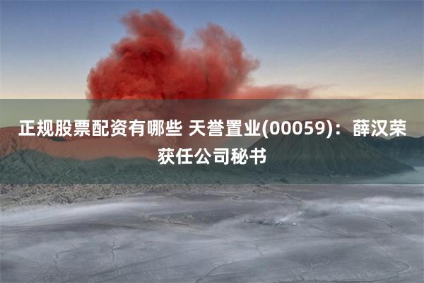 正规股票配资有哪些 天誉置业(00059)：薛汉荣获任公司秘书
