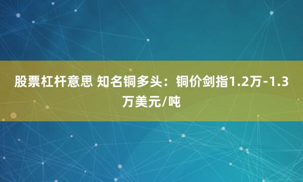 股票杠杆意思 知名铜多头：铜价剑指1.2万-1.3万美元/吨