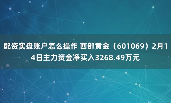 配资实盘账户怎么操作 西部黄金（601069）2月14日主力资金净买入3268.49万元