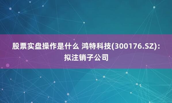 股票实盘操作是什么 鸿特科技(300176.SZ)：拟注销子公司