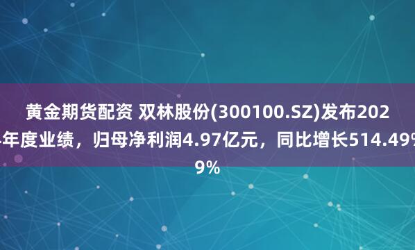 黄金期货配资 双林股份(300100.SZ)发布2024年度业绩，归母净利润4.97亿元，同比增长514.49%