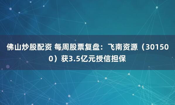 佛山炒股配资 每周股票复盘：飞南资源（301500）获3.5亿元授信担保