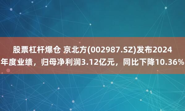 股票杠杆爆仓 京北方(002987.SZ)发布2024年度业绩，归母净利润3.12亿元，同比下降10.36%