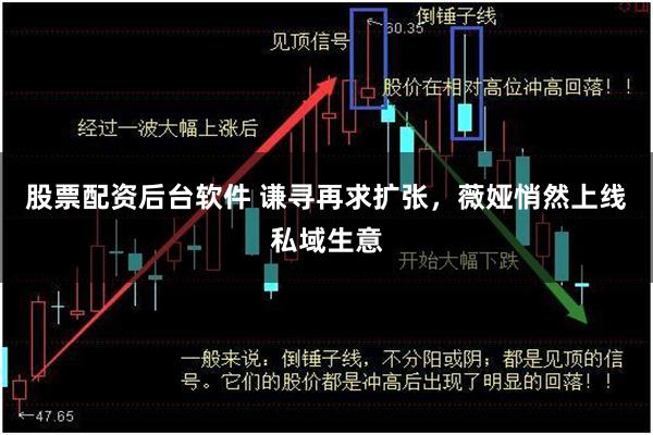 股票配资后台软件 谦寻再求扩张，薇娅悄然上线私域生意