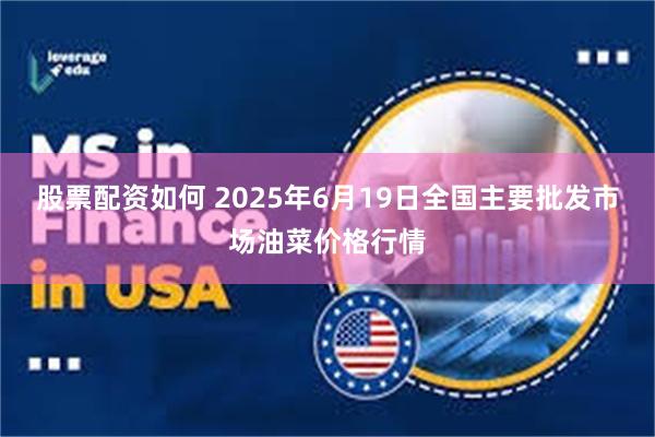 股票配资如何 2025年6月19日全国主要批发市场油菜价格行情