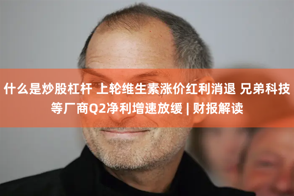什么是炒股杠杆 上轮维生素涨价红利消退 兄弟科技等厂商Q2净利增速放缓 | 财报解读
