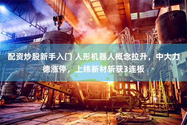 配资炒股新手入门 人形机器人概念拉升，中大力德涨停，上纬新材斩获3连板