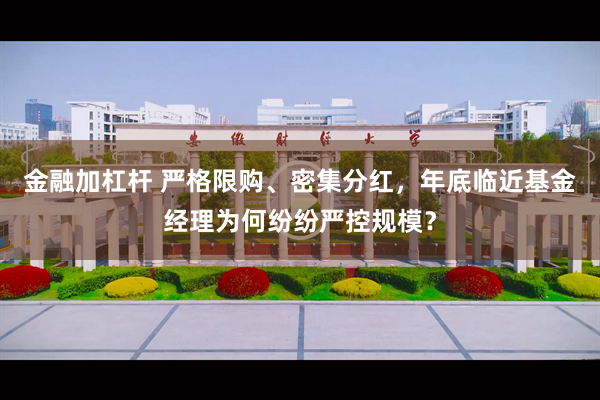 金融加杠杆 严格限购、密集分红,年底临近基金经理为何纷纷严控规模?